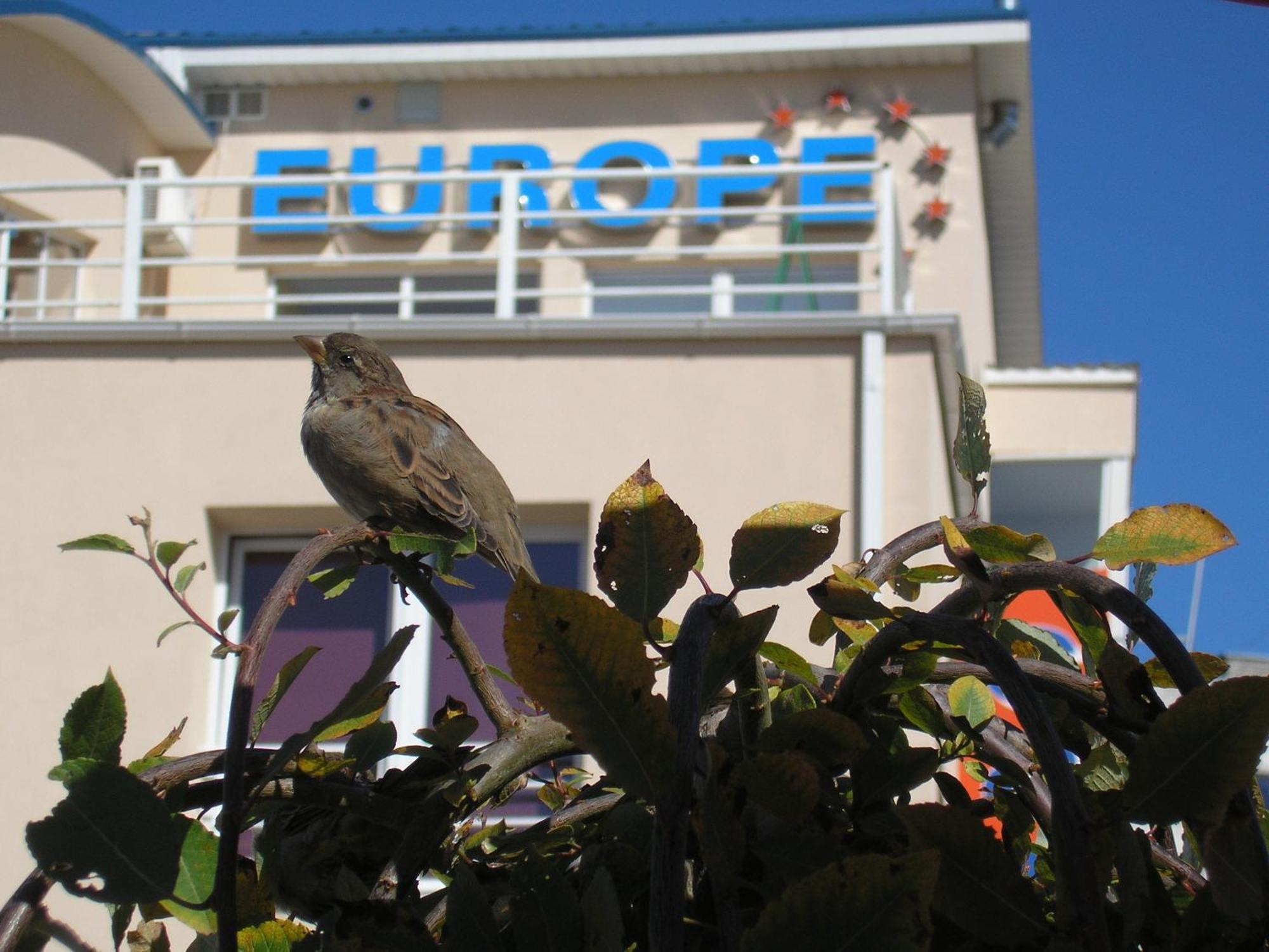 נרבה Europe Guesthouse מראה חיצוני תמונה